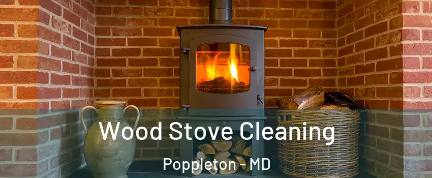 Wood Stove Cleaning Poppleton - MD