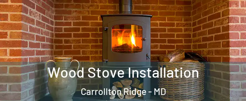 Wood Stove Installation Carrollton Ridge - MD