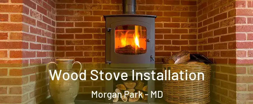 Wood Stove Installation Morgan Park - MD