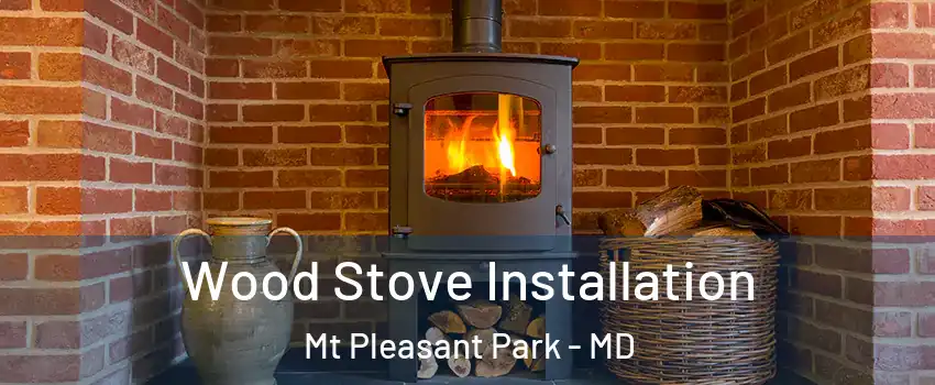 Wood Stove Installation Mt Pleasant Park - MD