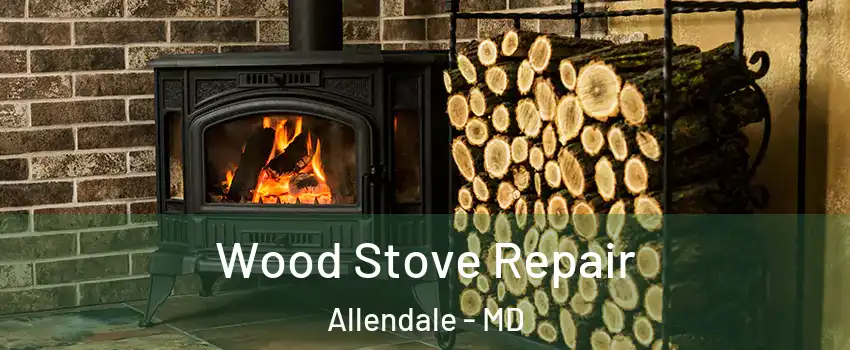 Wood Stove Repair Allendale - MD