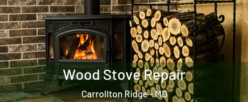 Wood Stove Repair Carrollton Ridge - MD