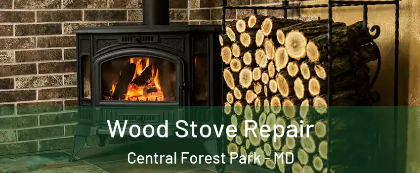 Wood Stove Repair Central Forest Park - MD