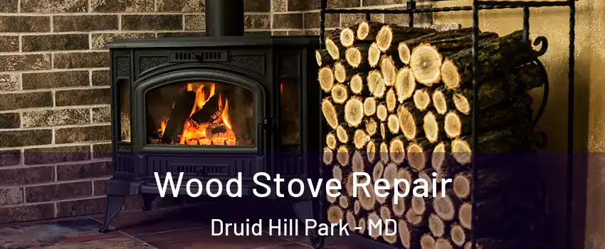 Wood Stove Repair Druid Hill Park - MD