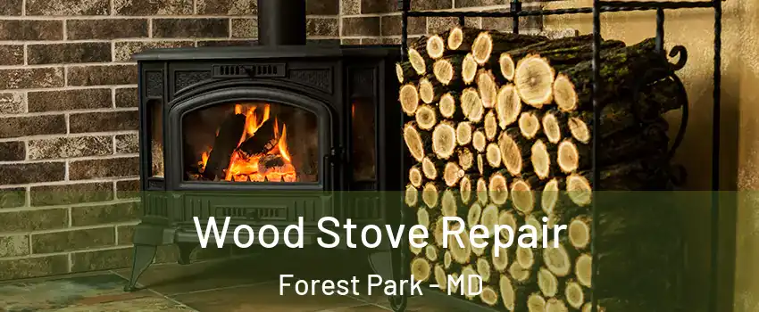 Wood Stove Repair Forest Park - MD