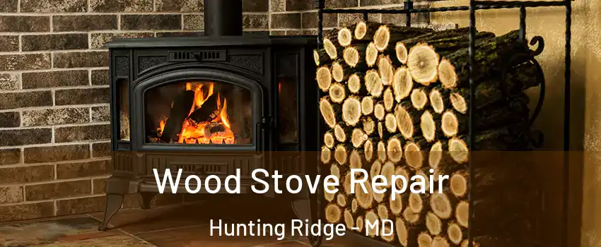 Wood Stove Repair Hunting Ridge - MD