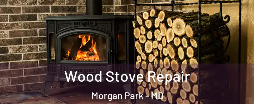 Wood Stove Repair Morgan Park - MD