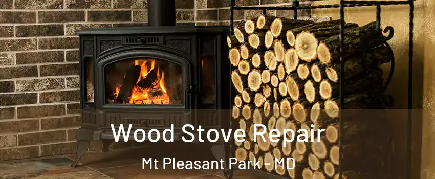 Wood Stove Repair Mt Pleasant Park - MD