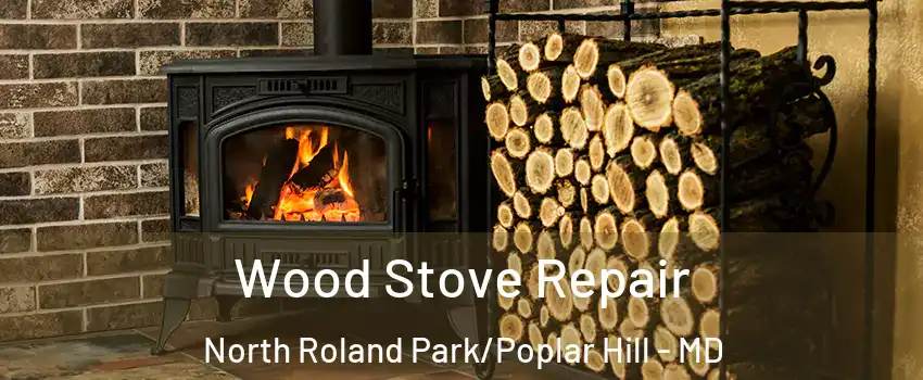 Wood Stove Repair North Roland Park/Poplar Hill - MD